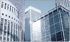 Go Public Institute